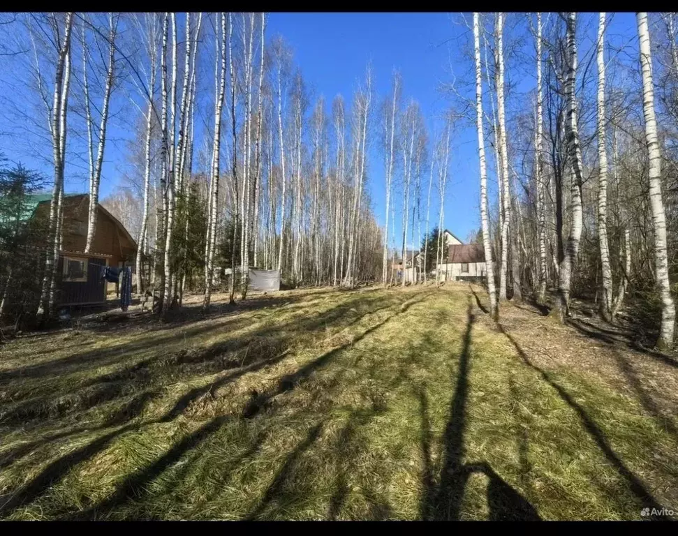 Участок в Московская область, Волоколамский муниципальный округ, ... - Фото 1