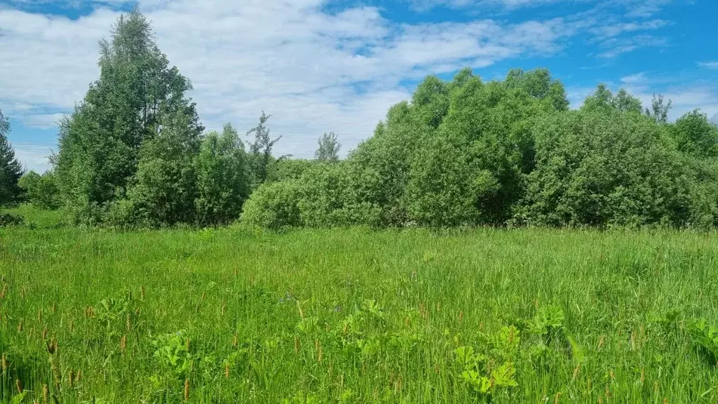 Участок в Московская область, Рузский городской округ, д. Шелковка  ... - Фото 0