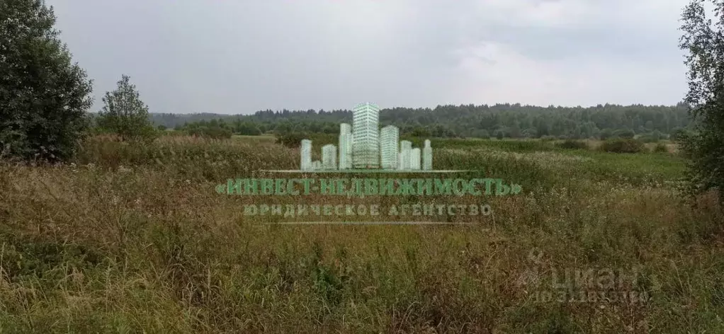 Участок в Владимирская область, Александровский район, ... - Фото 1