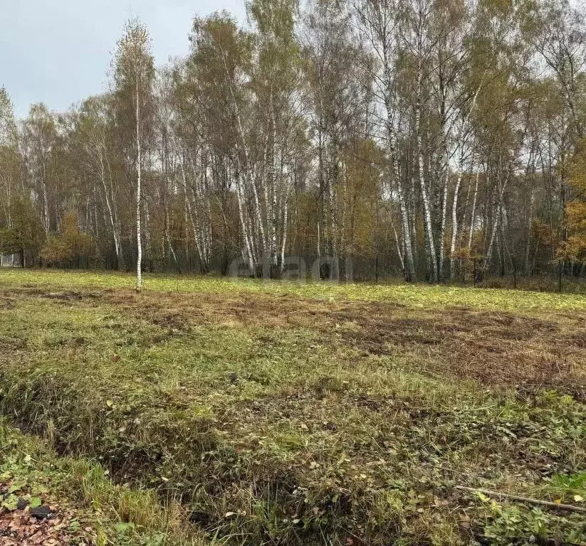 Участок в Московская область, Пушкинский городской округ, д. Фомкино 5 ... - Фото 1
