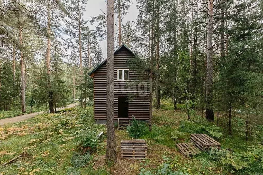 Дом в Свердловская область, Дегтярск ул. Виноградная, 9 (51 м) - Фото 1