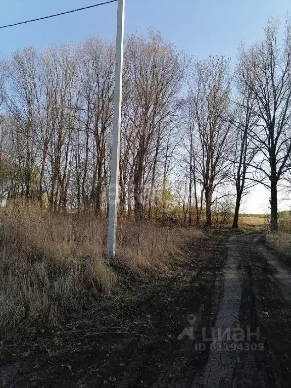 Участок в Мордовия, Саранск городской округ, пос. Добровольный ул. ... - Фото 1