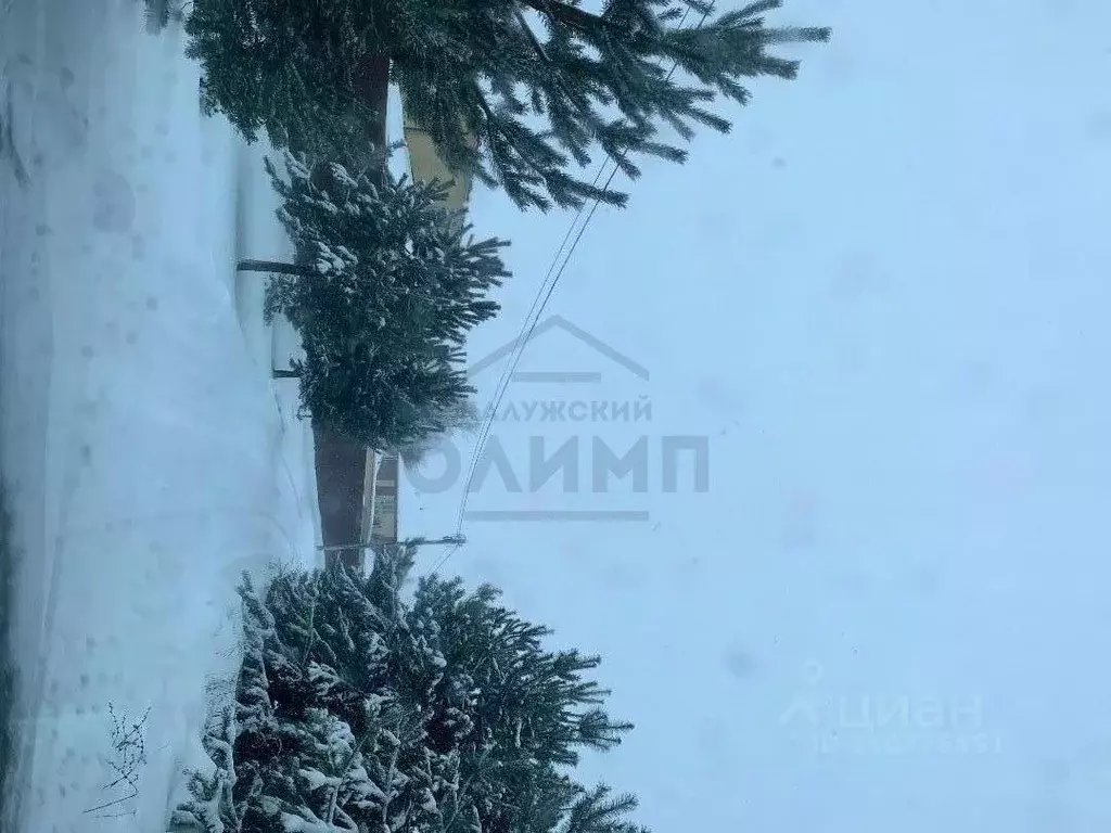 Участок в Калужская область, Перемышльский район, Большие Козлы с/пос, ... - Фото 2