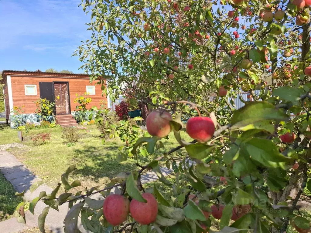 Дом в Калужская область, Жуковский район, Белоусово городское ... - Фото 0