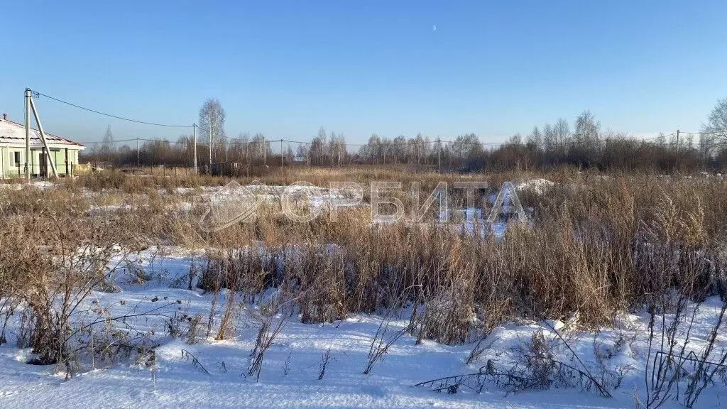 Участок в Тюменская область, Тюмень Россиянка садовое товарищество, ... - Фото 0