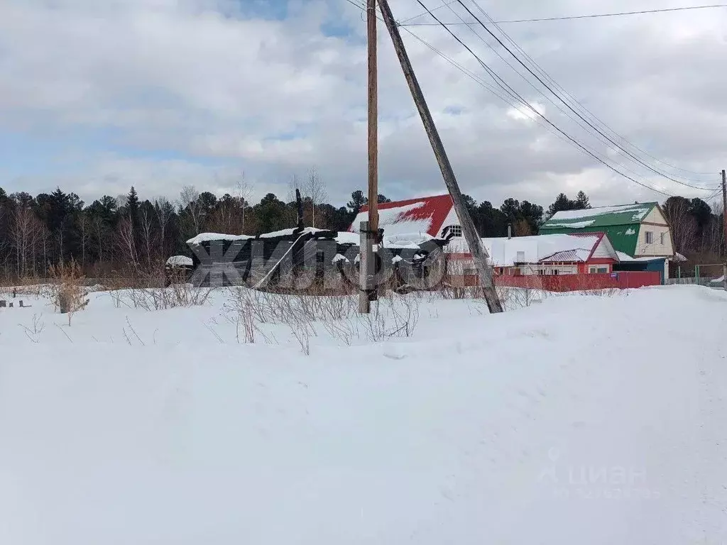Участок в Томская область, Шегарское с/пос, с. Мельниково пер. Таежный ... - Фото 2