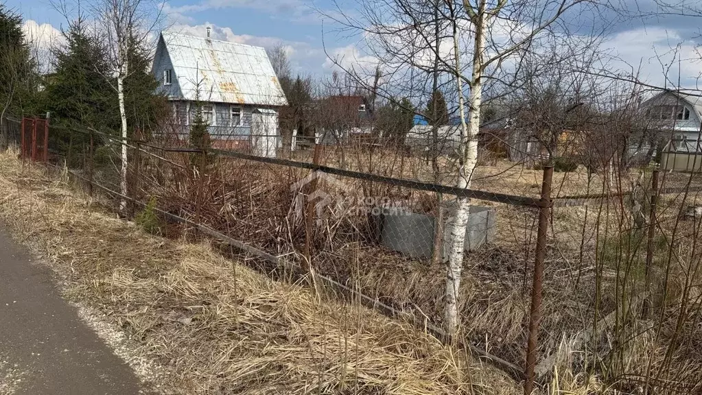 Участок в Ленинградская область, Лужский район, Мшинское с/пос, ... - Фото 1