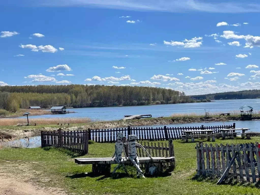 Участок в Нижегородская область, Богородский муниципальный округ, с. ... - Фото 0