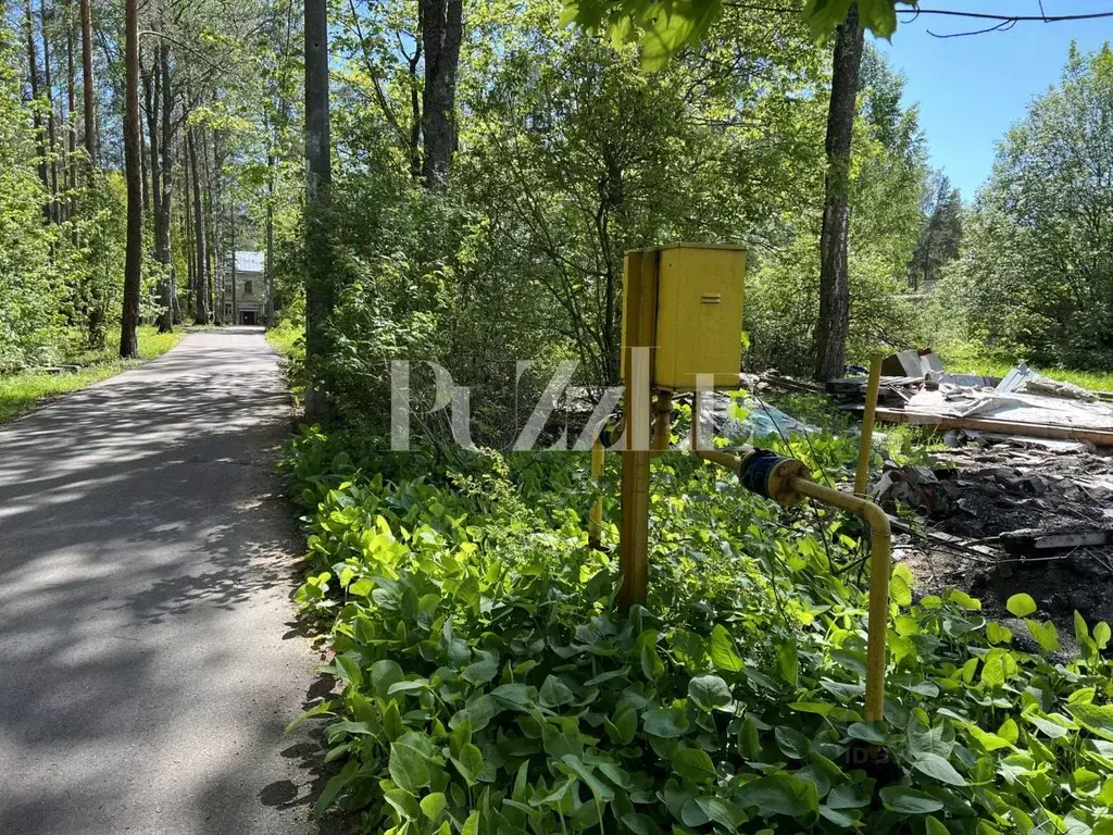 Участок в Санкт-Петербург пос. Комарово, ул. Цветочная (12.0 сот.) - Фото 2