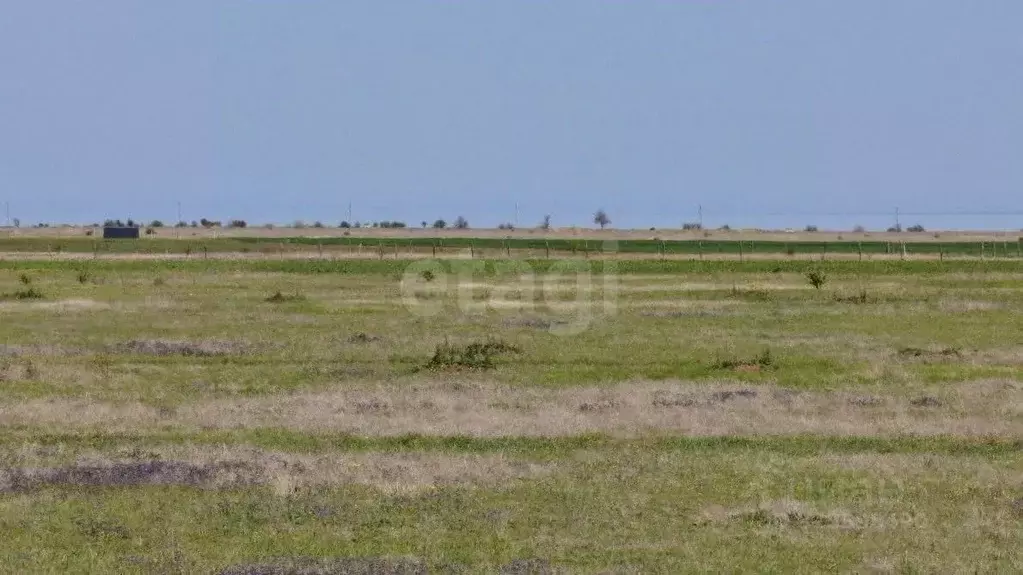Участок в Крым, Ленинский район, с. Калиновка ул. Абденановой (6.0 ... - Фото 1