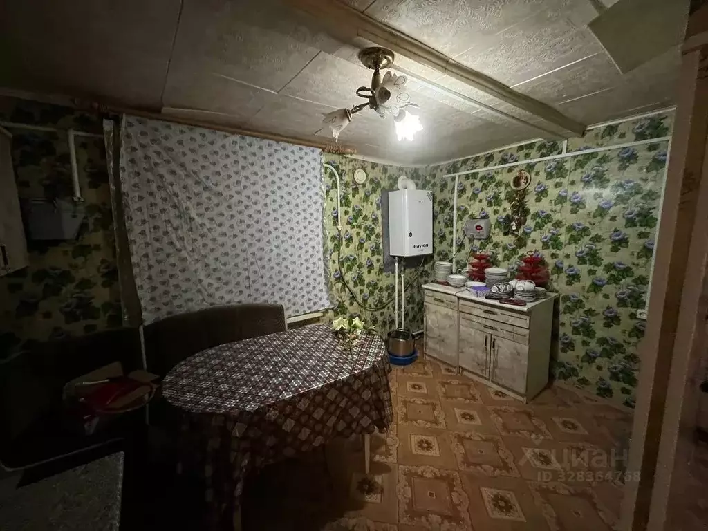 Дом в Башкортостан, Кармаскалинский район, Новокиешкинский сельсовет, ... - Фото 2