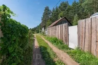 Участок в Пермский край, Пермь Сосновый Бор СНТ, 450 (4.9 сот.) - Фото 2