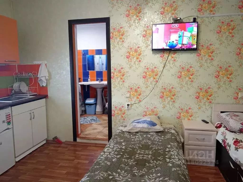 Студия Крым, Черноморское пгт ул. Агафонова, 45А (14.0 м) - Фото 1