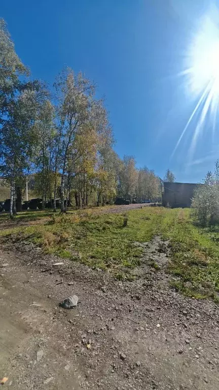 Участок в Алтай, Чемальский район, с. Чемал пер. Светлый (10.24 сот.) - Фото 2