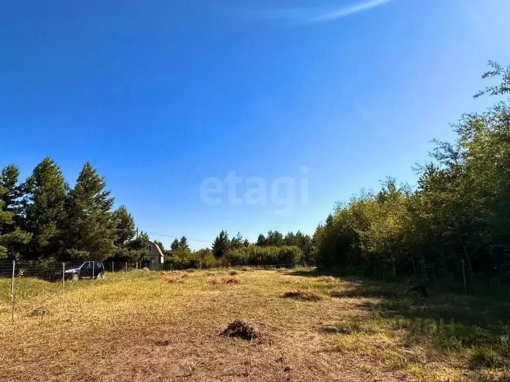 Участок в Воронежская область, Рамонский район, Новоживотинновское ... - Фото 1