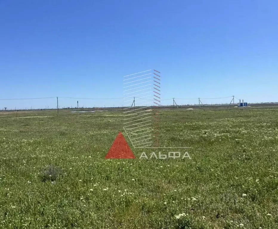 Участок в Крым, Сакский район, с. Молочное  (6.0 сот.) - Фото 2