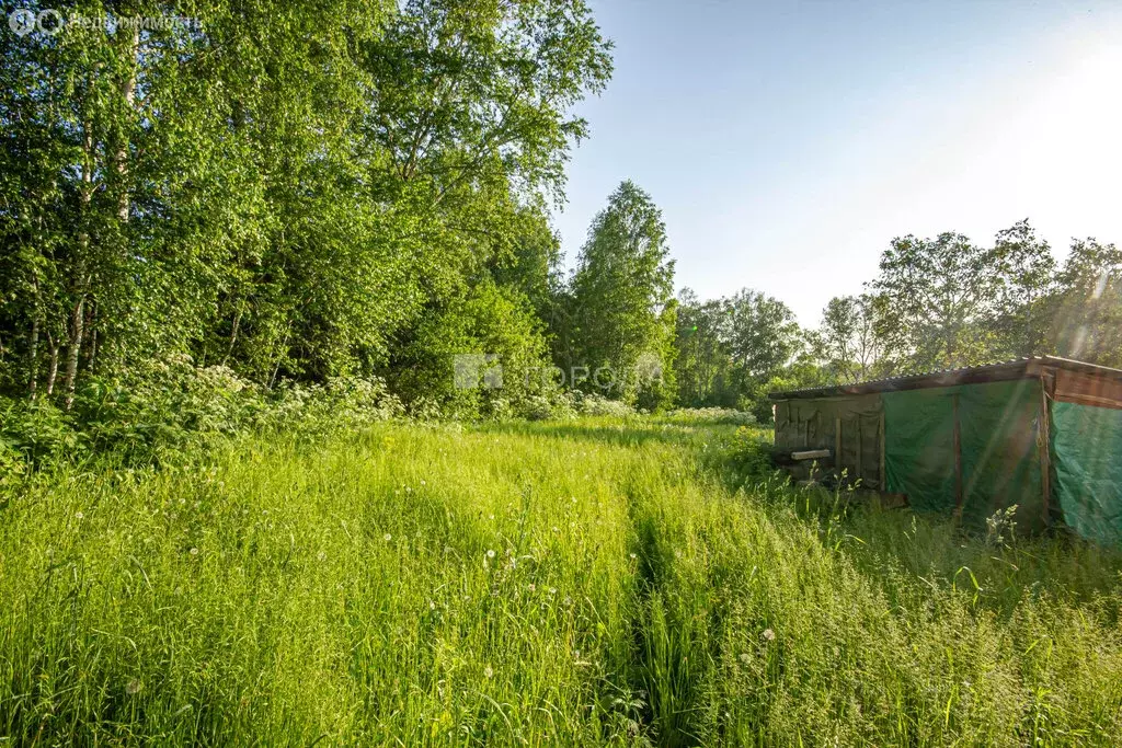 Участок в Новосибирский район, село Барышево (7.5 м) - Фото 0