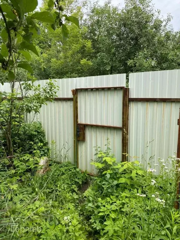 Участок в Рязанская область, Рязань Восход СТ, 67 (5.8 сот.) - Фото 2