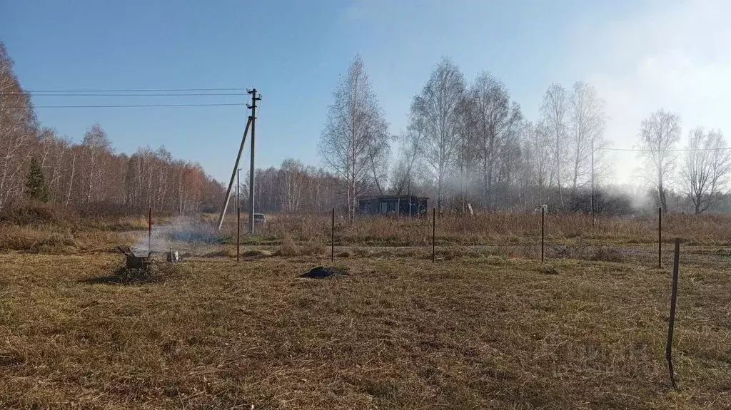 Участок в Новосибирская область, Искитимский район, Совхозный ... - Фото 1