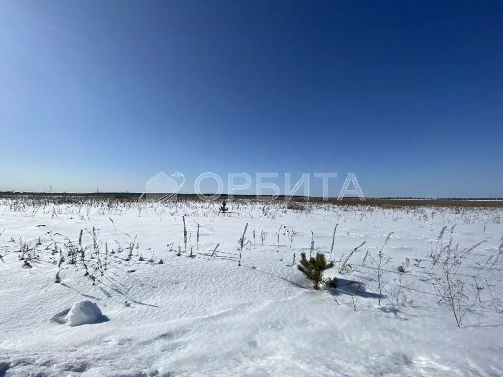 Участок в Тюменская область, Тюменский район, д. Елань 14 (8.0 сот.) - Фото 1