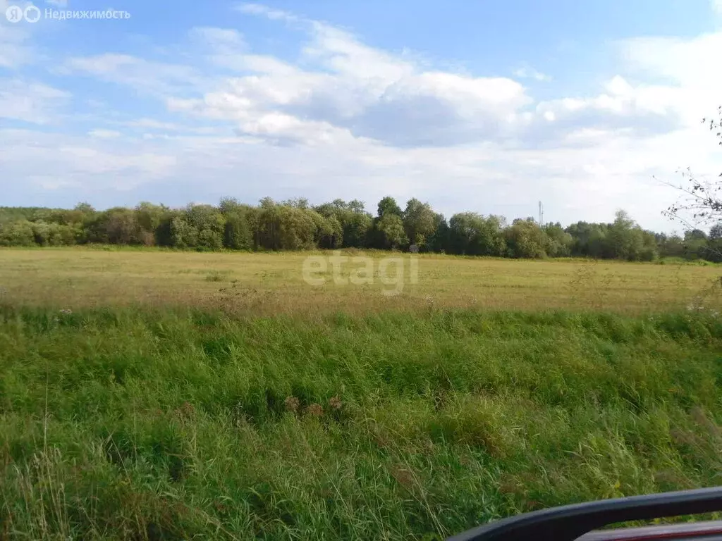 Участок в Горноуральский городской округ, посёлок Братчиково (260 м) - Фото 1