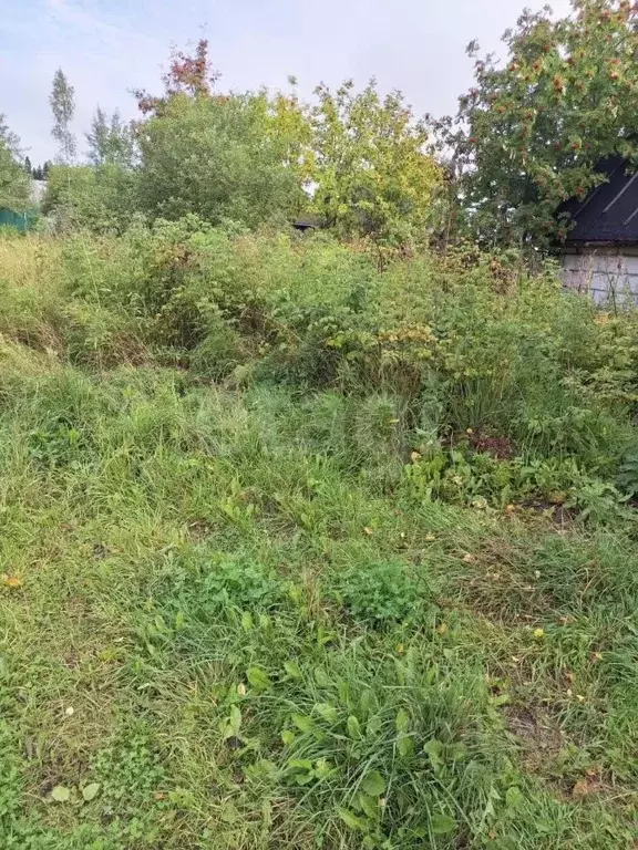 Участок в Коми, Сыктывдинский район, Лэзым муниципальное образование, ... - Фото 2