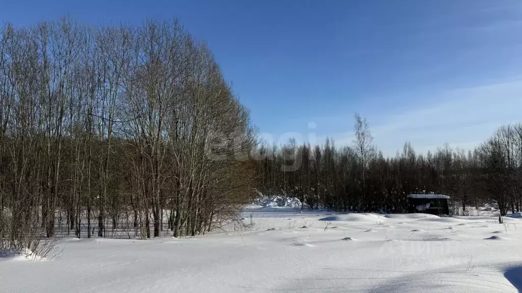 Участок в Ленинградская область, Киришский район, Глажевское с/пос, ... - Фото 1