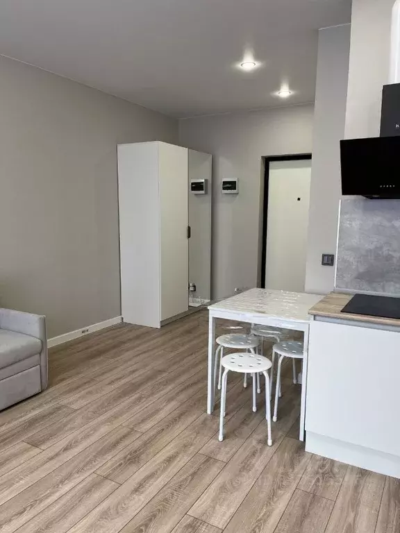 Студия Краснодарский край, Краснодар ул. Ивана Беличенко, 92к5 (27.6 ... - Фото 1