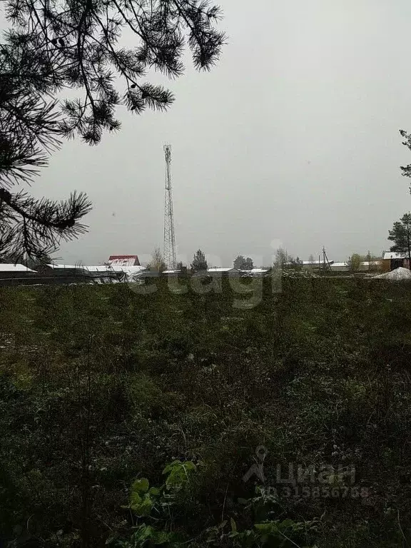 Участок в Архангельская область, Котлас муниципальное образование, д. ... - Фото 1