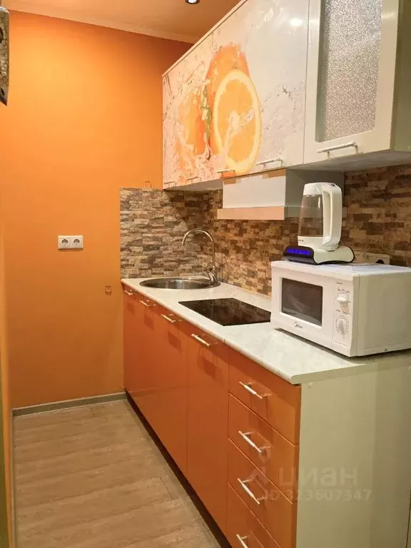 Студия Ленинградская область, Всеволожский район, пос. Бугры ул. ... - Фото 1