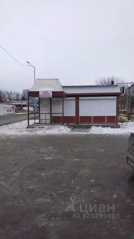 Торговая площадь в Свердловская область, Верх-Нейвинский пгт ул. 8 ... - Фото 1