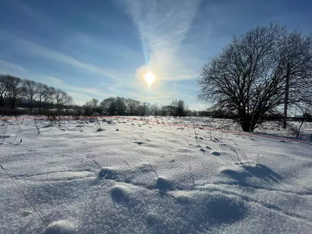 Участок в Московская область, Воскресенск городской округ, д. Городище ... - Фото 2