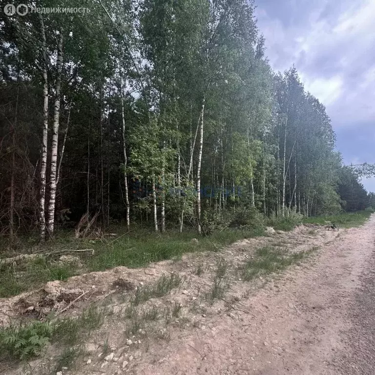 Участок в Нижегородская область, Богородский муниципальный округ, ... - Фото 1