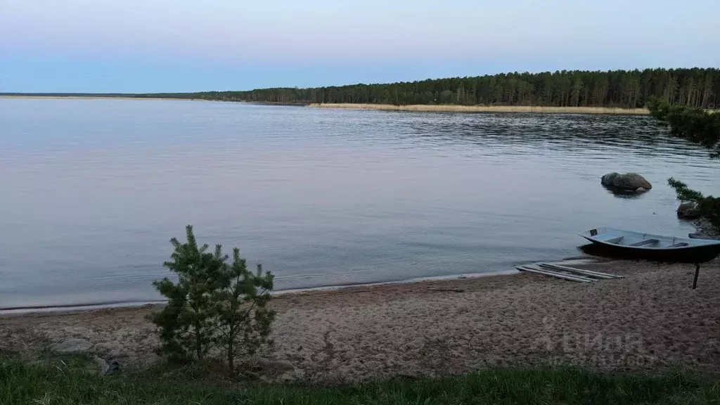 Участок в Ленинградская область, Приозерский район, Громовское с/пос, ... - Фото 2