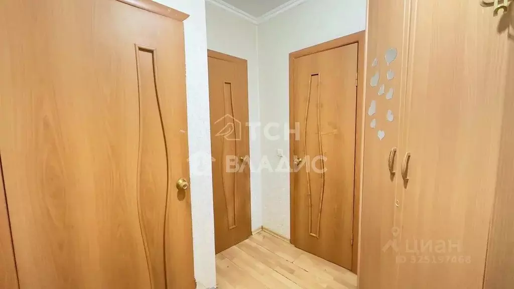 1-к кв. Московская область, Ивантеевка Пушкинский городской округ, ул. ... - Фото 2