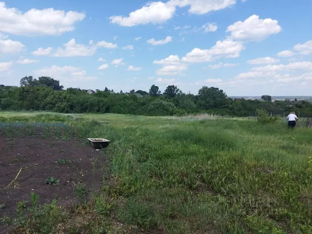 Участок в Воронежская область, Рамонский район, Новоживотинновское ... - Фото 1