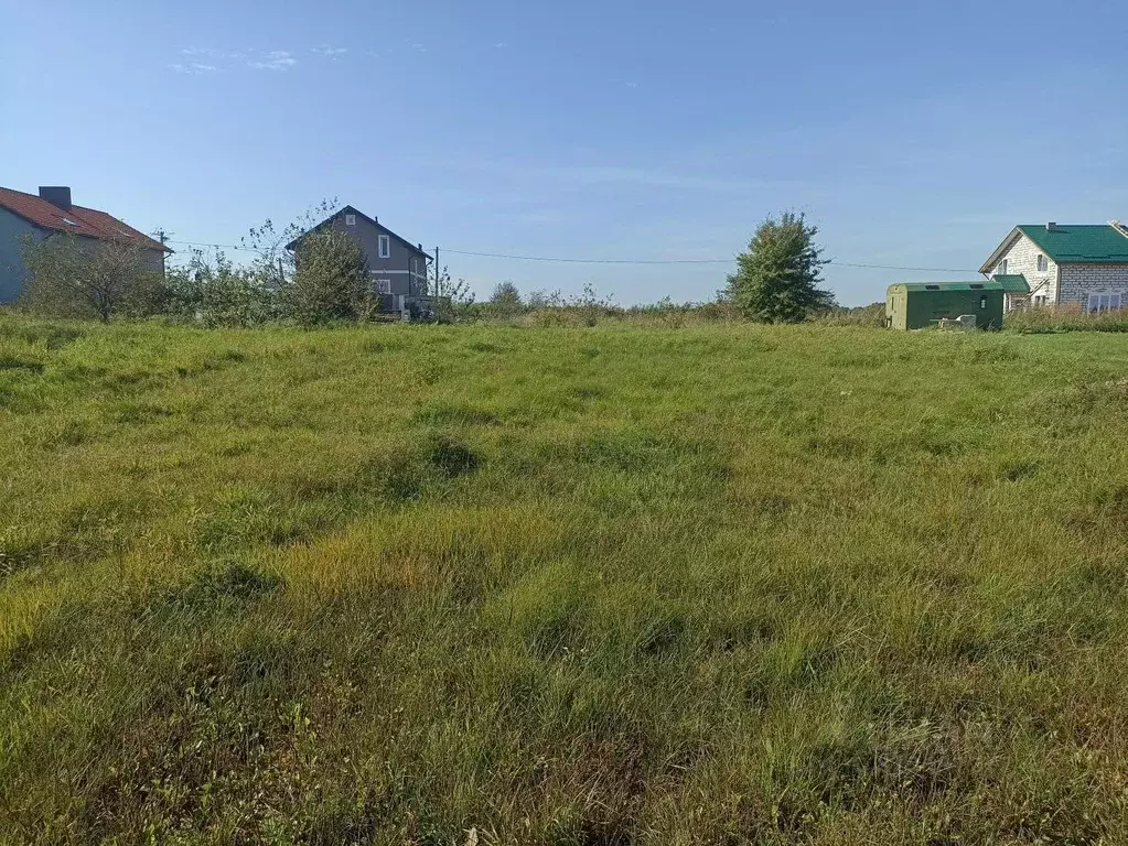 Участок в Калининградская область, Гурьевский муниципальный округ, ... - Фото 1