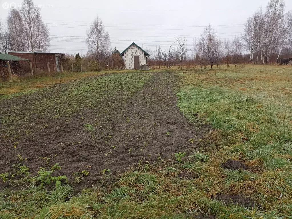 Участок в посёлок Отважное, Лесная улица (17 м) - Фото 1