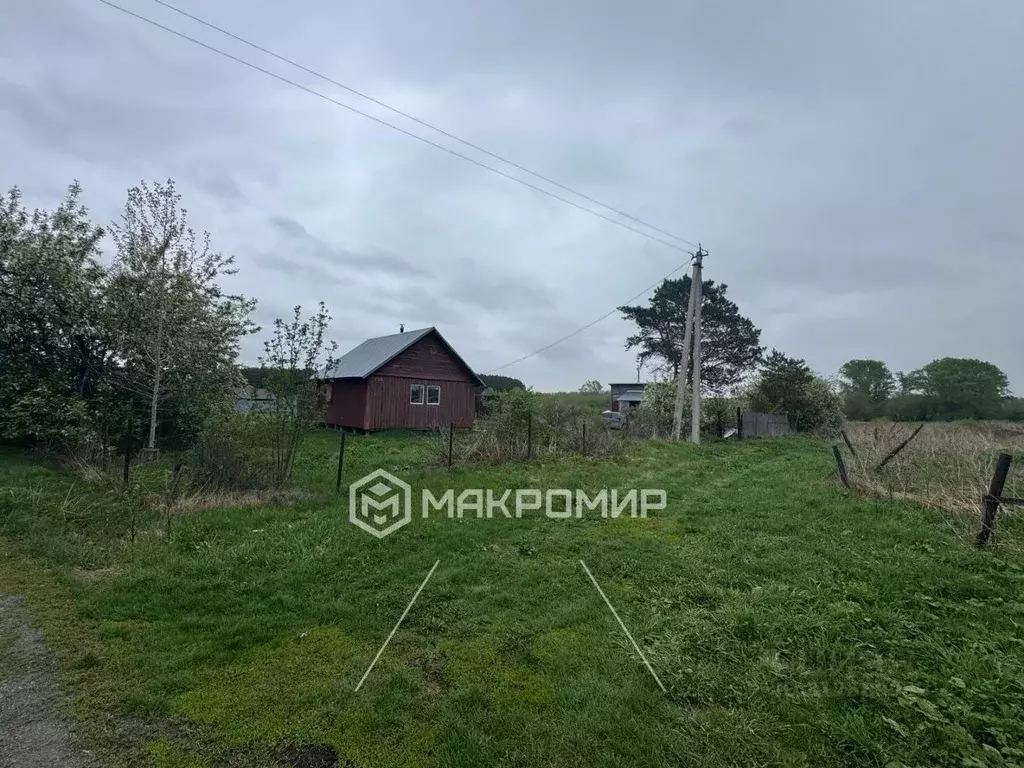 Дом в Новосибирская область, Тогучинский район, д. Калаганово ... - Фото 1