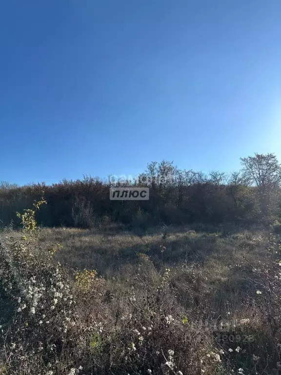 Участок в Краснодарский край, Анапа муниципальный округ, с. Супсех ул. ... - Фото 1