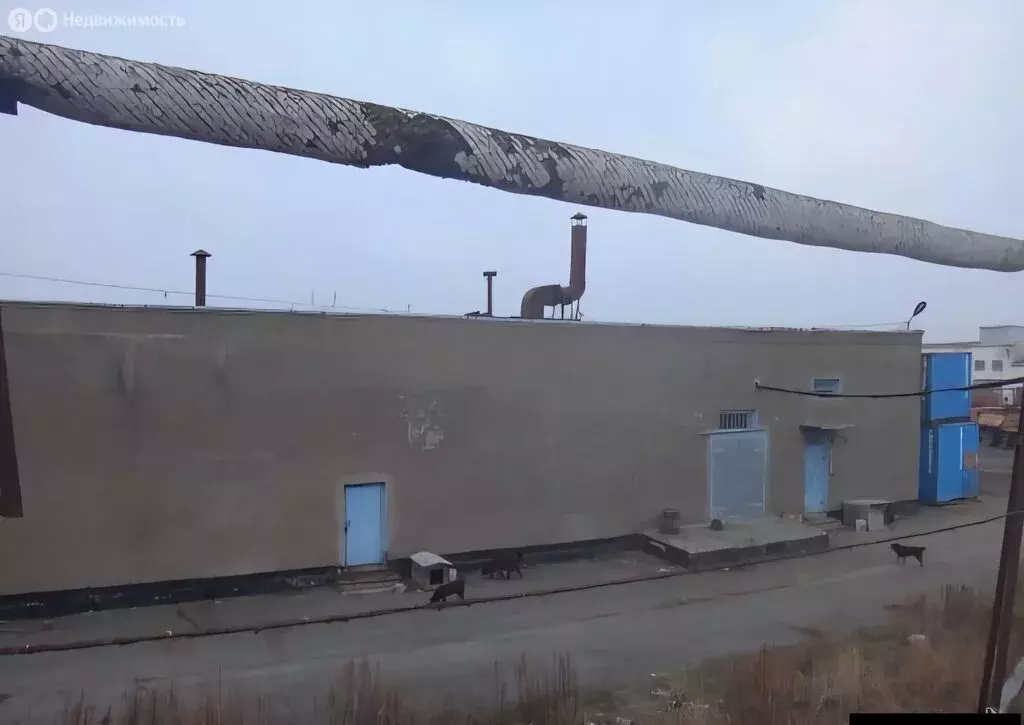 Помещение свободного назначения (540 м) - Фото 2