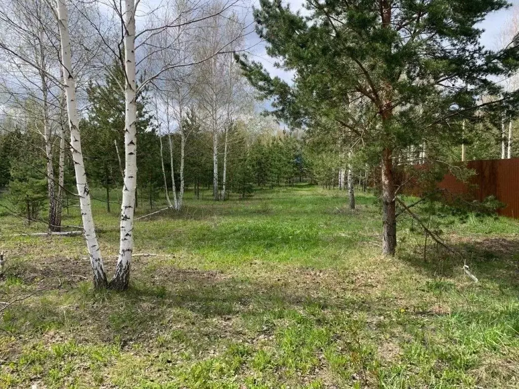 Участок в Свердловская область, Белоярский муниципальный округ, Мешков ... - Фото 1