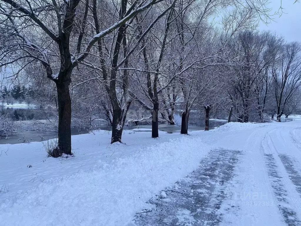 Участок в Брянская область, Брянский район, Супоневское с/пос, с. ... - Фото 0