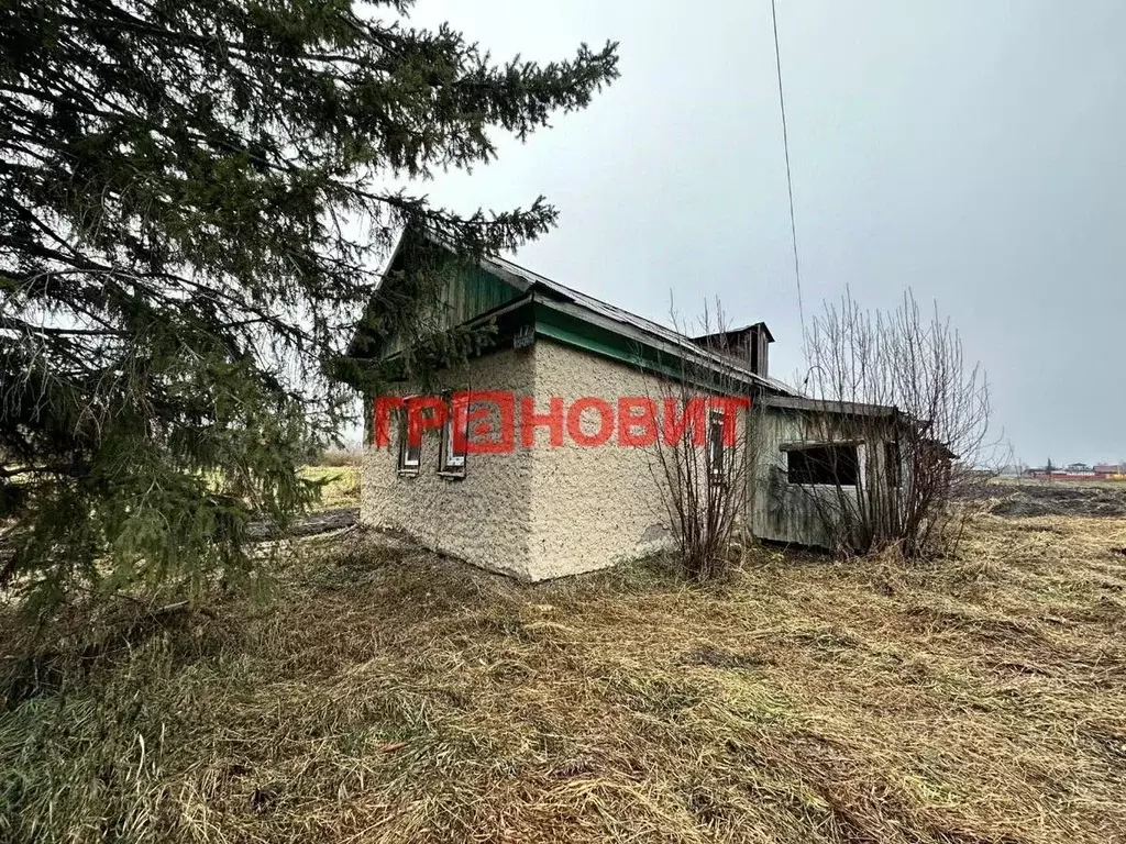 Дом в Новосибирская область, Ордынский район, с. Кирза Боровая ул., 13 ... - Фото 1