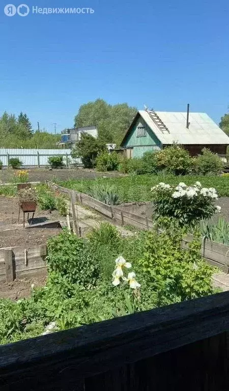 Участок в Новосибирск, территория садоводческого товарищества Геолог ... - Фото 2