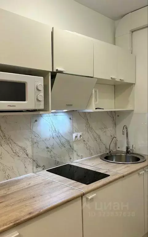 Студия Московская область, Красногорск городской округ, пос. ... - Фото 2