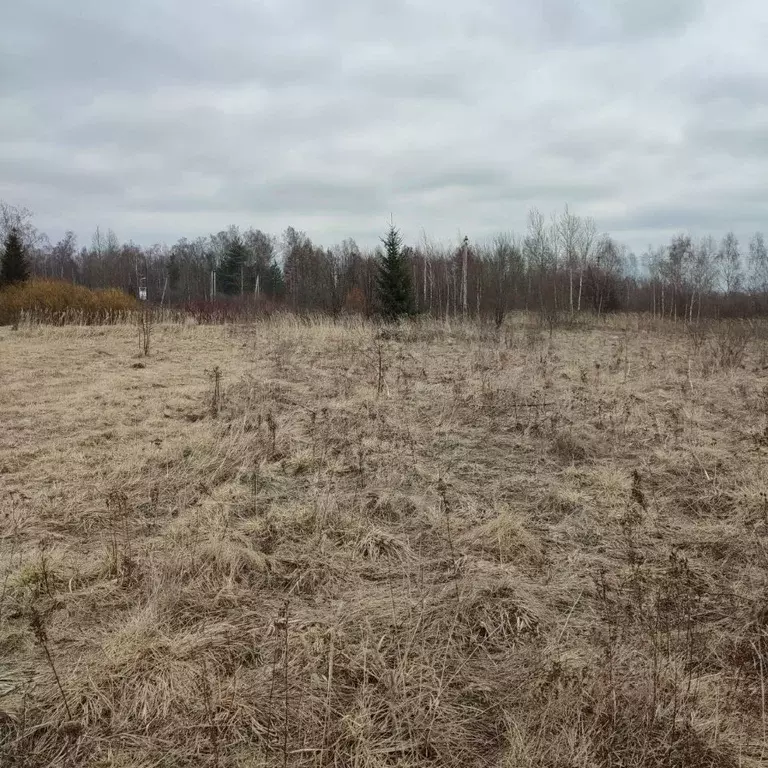 Участок в Московская область, Павлово-Посадский городской округ, д. ... - Фото 0