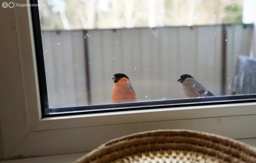 1-комнатная квартира: посёлок Семиозерье, Парковый переулок, 24 (31 м) - Фото 1