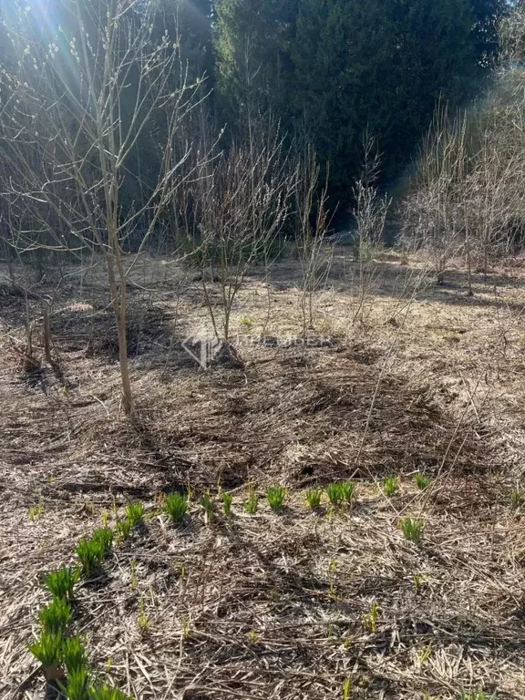 Дом в Кировская область, Слободской район, Бобинское с/пос, д. ... - Фото 2