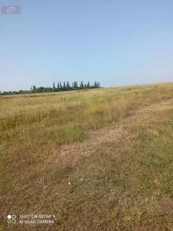 Участок в Воронежская область, Новоусманский район, с. Орлово ... - Фото 1
